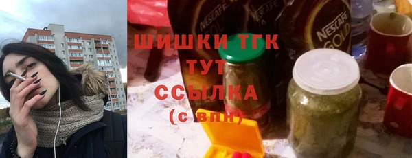 индика Богородицк