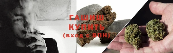 индика Богородицк