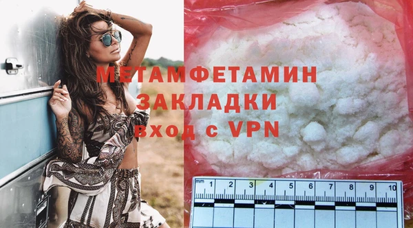 индика Богородицк