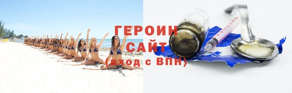 индика Богородицк
