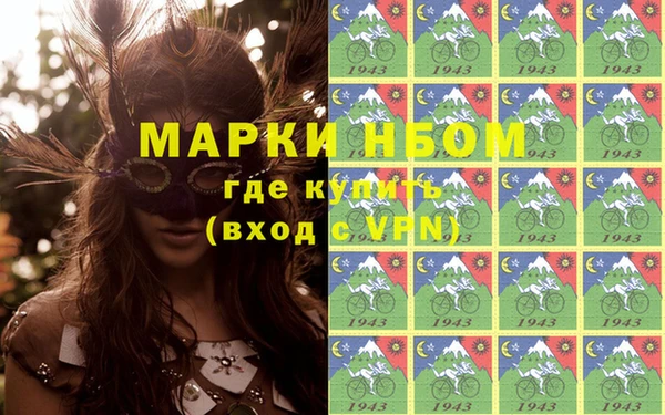 индика Богородицк