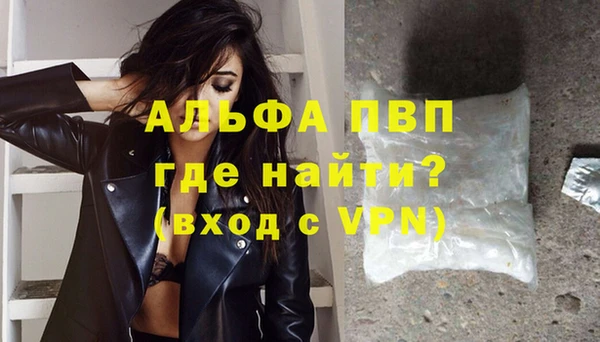 стаф Бикин