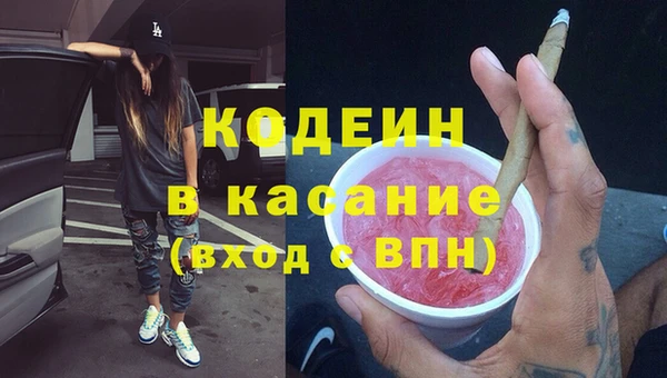 индика Богородицк