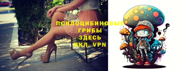 МДПВ Белокуриха