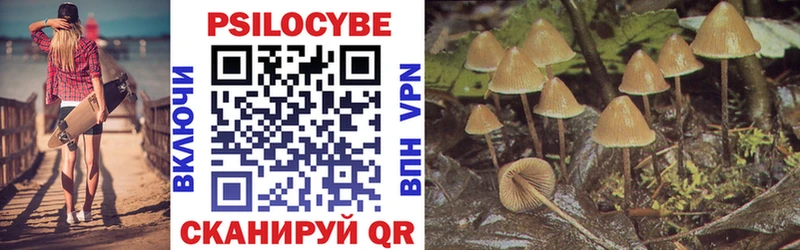 Галлюциногенные грибы мухоморы  Велиж 